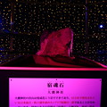 写真: 大甕神社の宿魂石