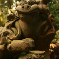 写真: 221 館山神社の狛犬 川尻