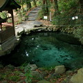 878 泉神社 泉が森