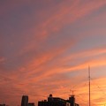 写真: ピンク色の夕焼雲をずっと見る