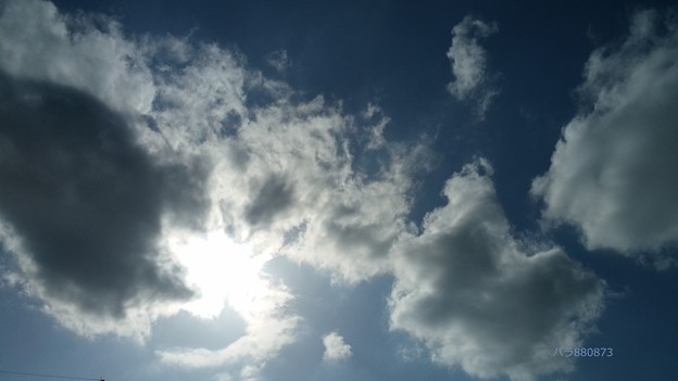 写真: 巻雲と太陽