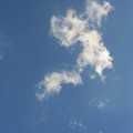 写真: ポツンと巻雲