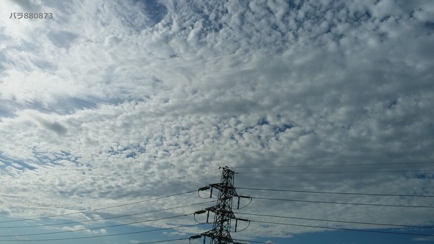 写真: ウロコ雲と高圧鉄塔♪