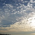 写真: 遅い朝陽とウロコ雲（1）