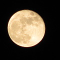 写真: 輝くお月様