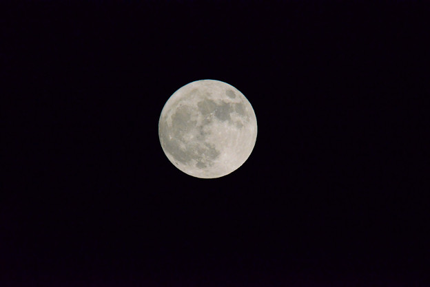 写真: ブルームーン・ハロウィン満月