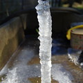 写真: 家庭の氷柱