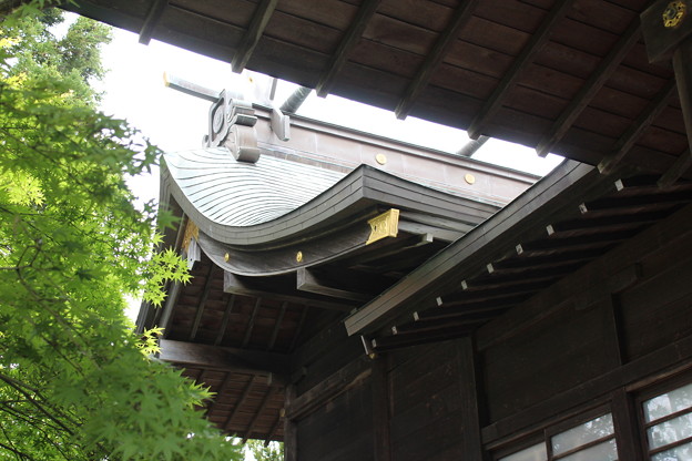 写真: ２７．５．２８仙台八坂神社本殿