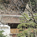 写真: ２３．３．６鹽竈神社右宮本殿