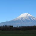 写真: 青空に富士山