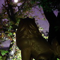 写真: 獅子が見た閏月の十五夜