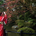 写真: 京都の清水寺にて紅葉の写真です。