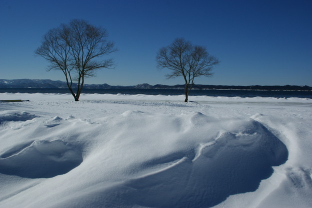 写真: 猪苗代湖畔は白の世界
