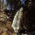 写真: 白藤の滝