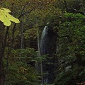 写真: 白絹の滝（奥入瀬渓流）