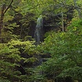 写真: 白糸の滝（奥入瀬渓流）