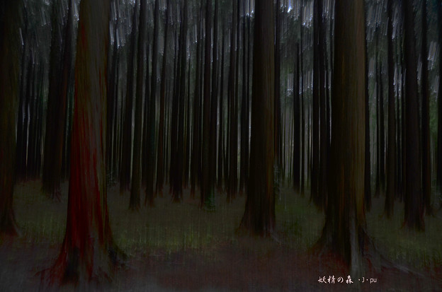 写真: 妖精の森