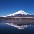 写真: 逆富士　山中湖編