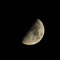 写真: 今宵の月・・・見事な半月
