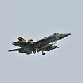 写真: VFA-115"Eagles"　F/A-18E #300