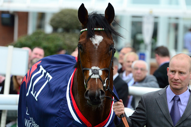 17.What his next race will be -Lockinge Stakes-