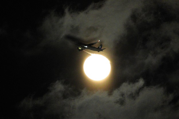写真: 雲に写る飛行機の影