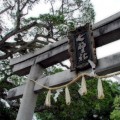 写真: 七野神社